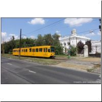 2015-08-08 28 Juedischer Friedhof 1586.jpg